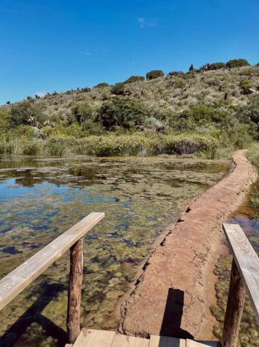 Heron Cottage - Living The Breede Malgas Zewnętrze zdjęcie